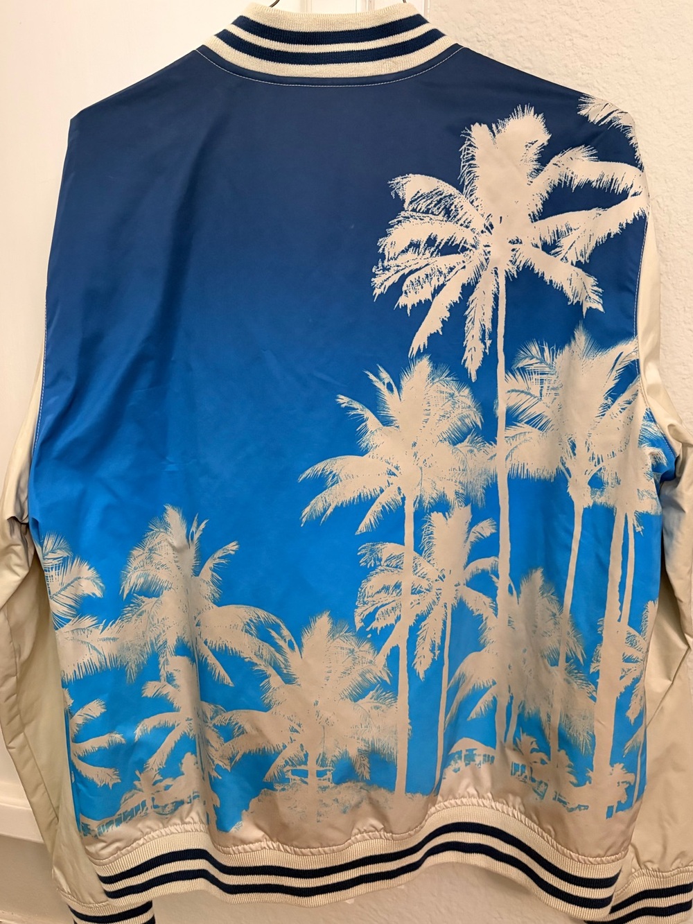 American Eagle Outfitters Blue and Cream Palm-Print Bomber Jacket
